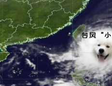 台风小犬登陆后，广州即将迎来7号开始的大雨，部分地区或有暴雨-