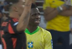168娱乐-强烈不满！美洲杯再现争议：巴西队围堵裁判，主教练挥拳怒指抗议