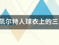 168娱乐-波士顿凯尔特人球衫上的三叶草标志是怎么来的？