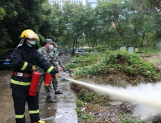 广州市森林防火宣传月-点燃保护之焰，共筑绿色家园