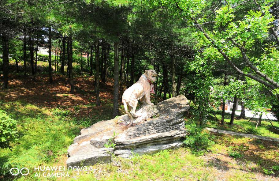 168娱乐-大美仙境—安波鸿源温泉山庄